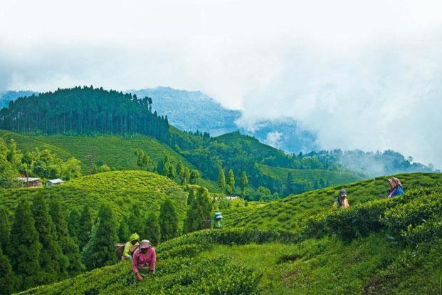 Hotel Central View - Darjeeling Дарджилинг Екстериор снимка